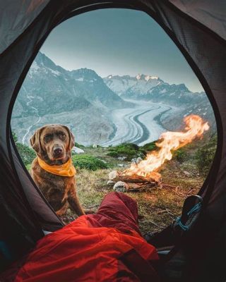 重慶有哪些露營基地－探索露天樂趣的極致體驗